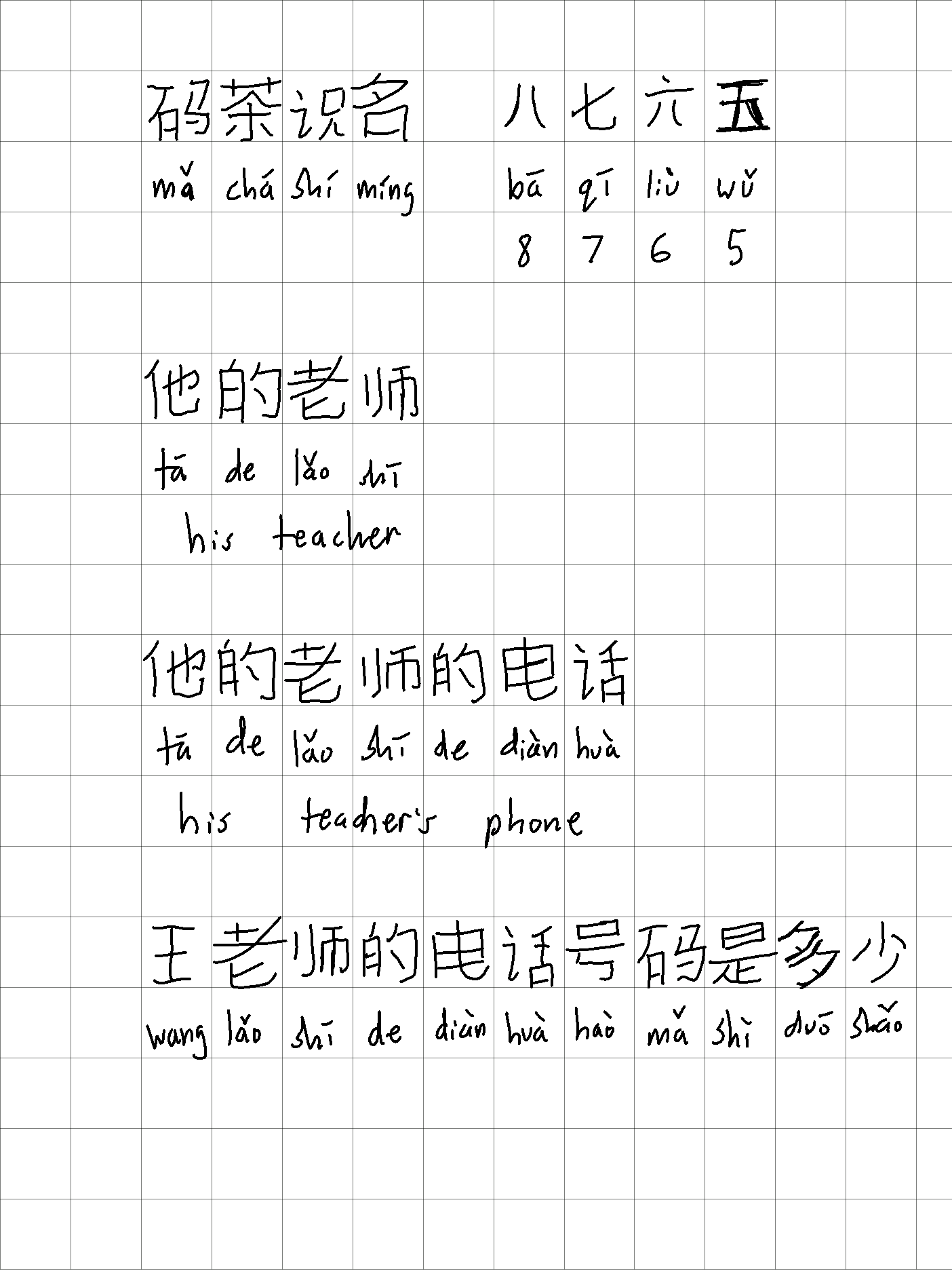 Chinese essay copy and paste image